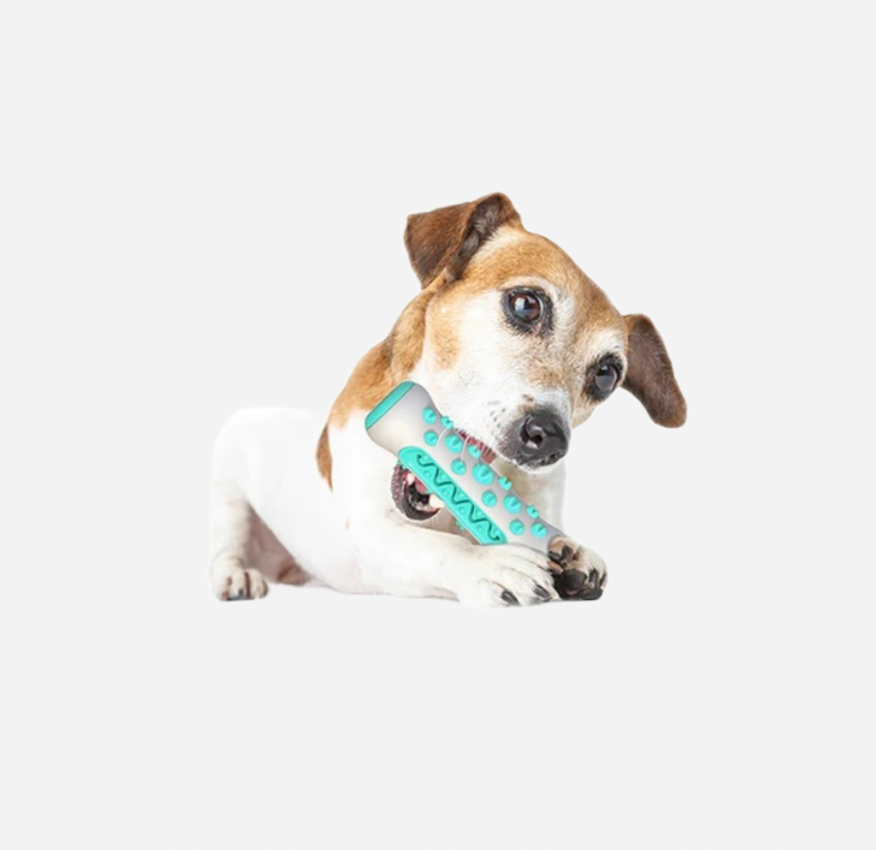 Pet dental care toy