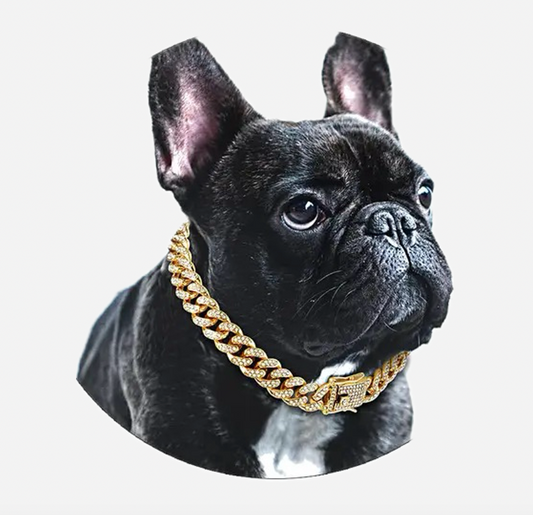 Dog luxory jewellery