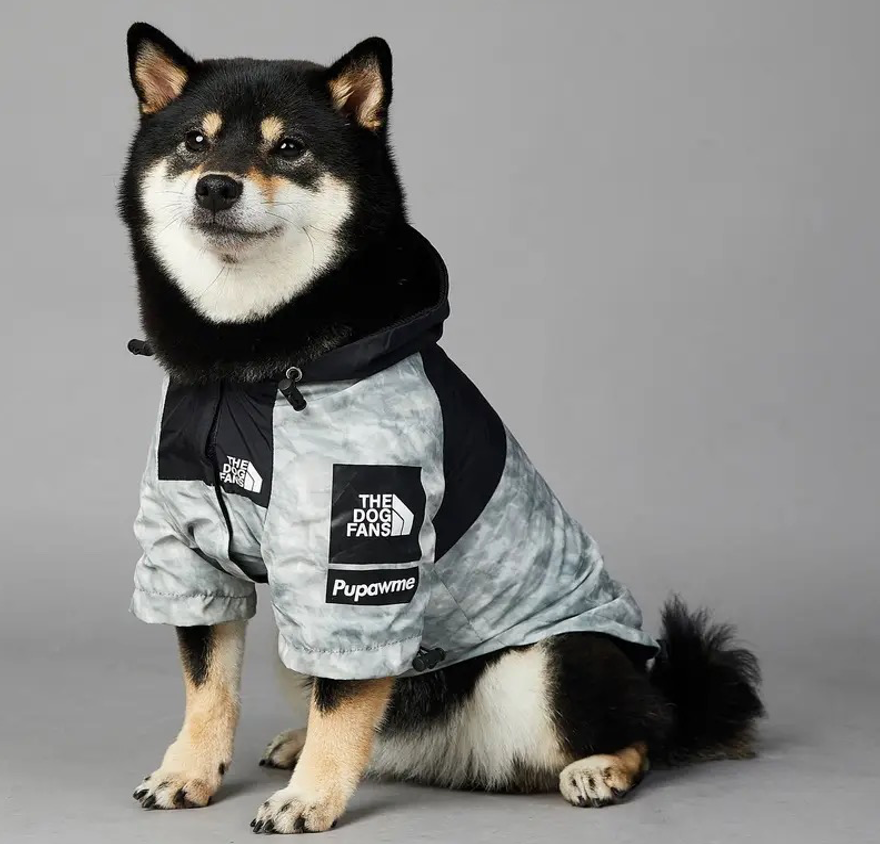 The north dog jacket